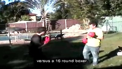 truTV Presents: World's Dumbest Season 8 Episode 15