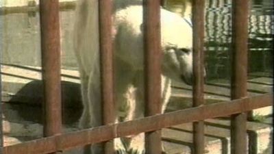 truTV Presents: World's Dumbest Season 2 Episode 9