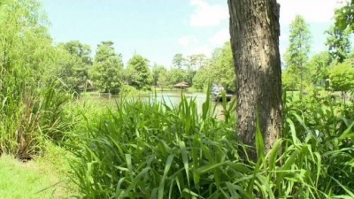 Buying the Bayou Season 1 Episode 9