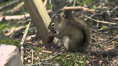 Buying the Bayou Season 2 Episode 14