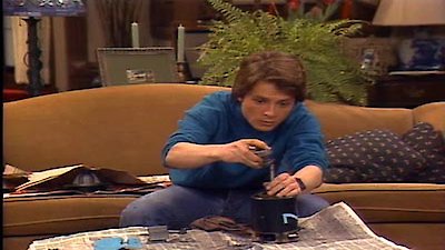 Family Ties Season 4 Episode 17