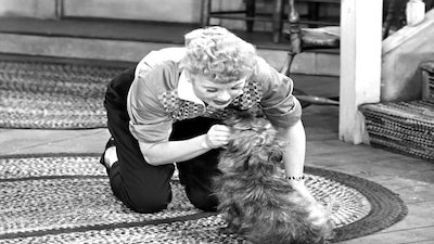 The Best Of I Love Lucy Season 5 Episode 19