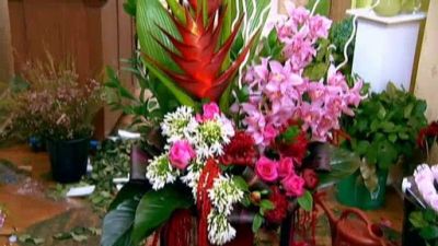 Petal Pushers Season 1 Episode 11