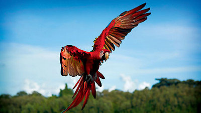 Earthflight Season 1 Episode 4