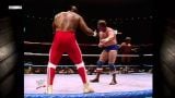 Hulk Hogan & Mr. T vs. 