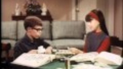 My Three Sons Season 6 Episode 28
