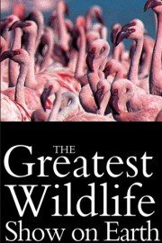 The Greatest Wildlife Show On Earth