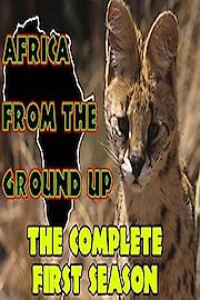 Africa from the Ground Up