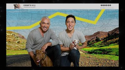 @midnight Season 4 Episode 225