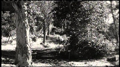 The Lone Ranger Season 2 Episode 9