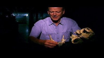 Mysteries at the Museum Season 8 Episode 15