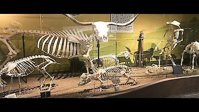 Mysteries at the Museum Season 15 Episode 13