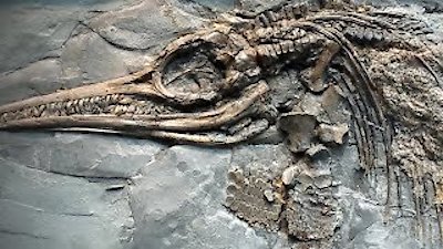 Mysteries at the Museum Season 16 Episode 9