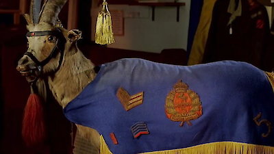 Mysteries at the Museum Season 17 Episode 15