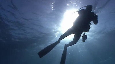 Mysteries at the Museum Season 20 Episode 13