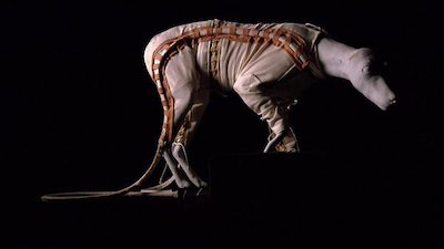 Mysteries at the Museum Season 7 Episode 22