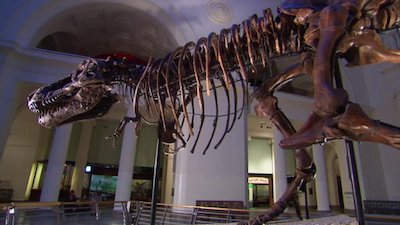 Mysteries at the Museum Season 1 Episode 5