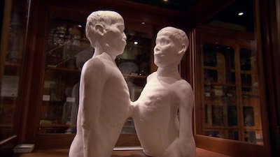 Mysteries at the Museum Season 2 Episode 1