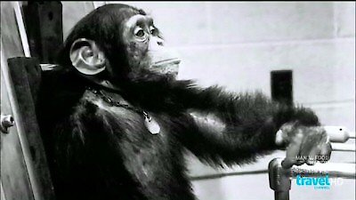 Mysteries at the Museum Season 2 Episode 9