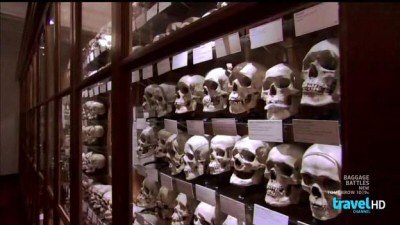 Mysteries at the Museum Season 3 Episode 7