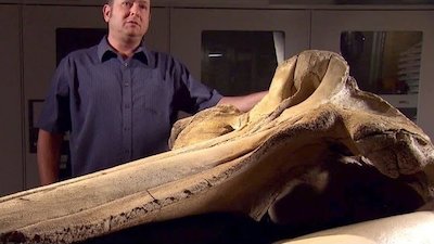 Mysteries at the Museum Season 3 Episode 13