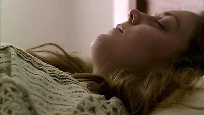 Mysteries at the Museum Season 4 Episode 6