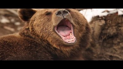 Mysteries at the Museum Season 13 Episode 11