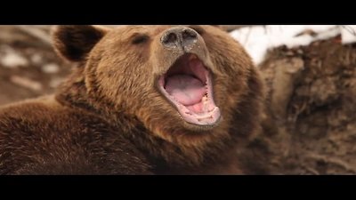 Mysteries at the Museum Season 13 Episode 12