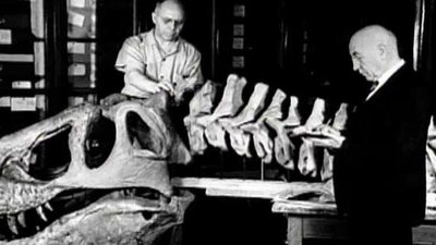 Dinosaurs: Inside & Out Season 1 Episode 3