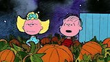 It's the Great Pumpkin, Charlie Brown