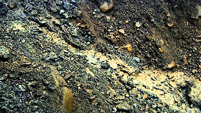 Gold Rush: South America Season 4 Episode 17