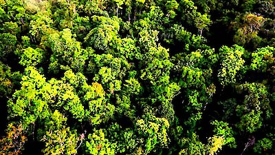 Gold Rush: South America Season 4 Episode 10