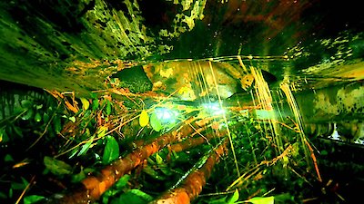 Gold Rush: South America Season 4 Episode 7