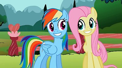 My Little Pony: Friendship Is Magic, Rainbow Dash Season 1 Episode 3