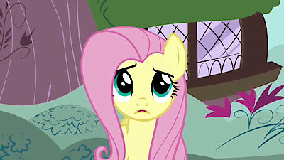 My Little Pony: Friendship Is Magic, Fluttershy Season 1 Episode 1
