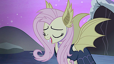 My Little Pony: Friendship Is Magic, Fluttershy Season 1 Episode 2