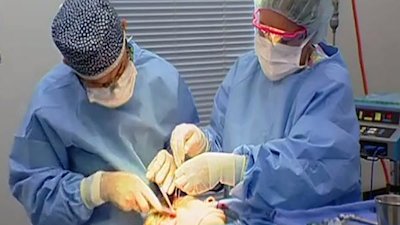 Dr. 90210 Season 1 Episode 13