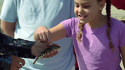 Beachfront Bargain Hunt Season 23 Episode 8