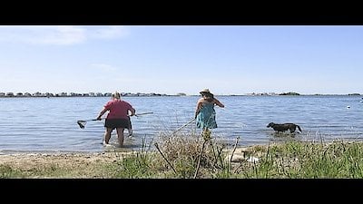 Beachfront Bargain Hunt Season 14 Episode 11