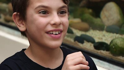 Seriously Amazing Objects Season 2 Episode 3