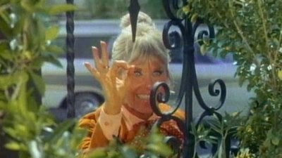 The Doris Day Show Season 4 Episode 24