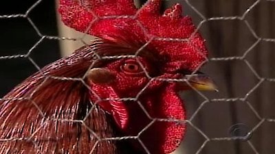 Kid Nation Season 1 Episode 2