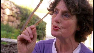 The Naked Archaeologist Season 1 Episode 17