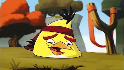 Angry Birds Toons Season 1 Episode 11