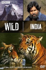 Wild India