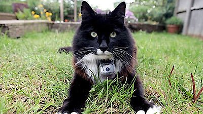 Horizon Season 2013 Episode 5