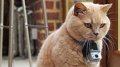 Horizon Season 2013 Episode 6