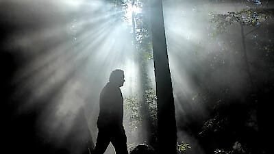 Horizon Season 2015 Episode 11