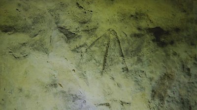 The Curse of Oak Island Season 11 Episode 27