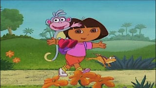 Watch Dora the Explorer Season 1 Episode 21 - El Coqui Online Now